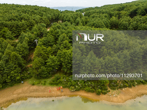 Forest rangers are patrolling a forest in Bijie, China, on May 31, 2024. 