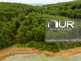 Forest rangers are patrolling a forest in Bijie, China, on May 31, 2024. (