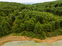 Forest rangers are patrolling a forest in Bijie, China, on May 31, 2024. (