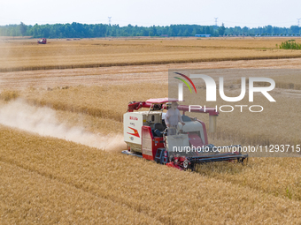 Farmers are harvesting wheat in a wheat field in Suqian, Jiangsu province, China, on May 31, 2024. (