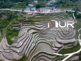 Villagers are working in a field transplanting rice seedlings in Yichang city, Central China's Hubei province, on June 1, 2024. (