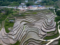 Villagers are working in a field transplanting rice seedlings in Yichang city, Central China's Hubei province, on June 1, 2024. (