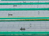 Workers are feeding a crab pond at a modern fishery industrial plantation in Yancheng, China, on June 2, 2024. (