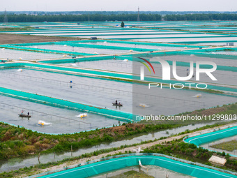 Workers are feeding a crab pond at a modern fishery industrial plantation in Yancheng, China, on June 2, 2024. (