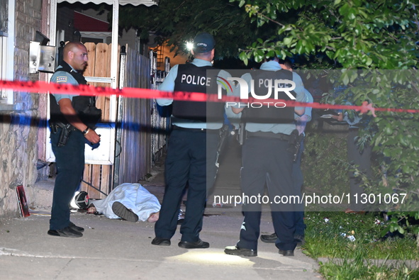 Chicago Police are canvassing the area for evidence as a male victim who was shot twenty-five times and killed is covered with a sheet. A ma...