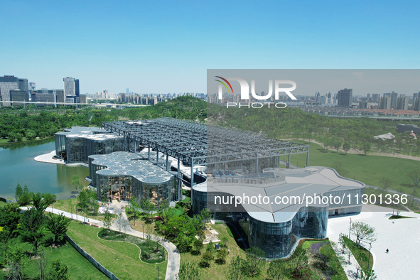 The greenhouse garden is being showcased at the World Expo Cultural Park in Shanghai, China, on June 3, 2024. 