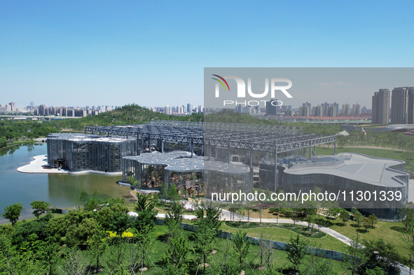 The greenhouse garden is being showcased at the World Expo Cultural Park in Shanghai, China, on June 3, 2024. 