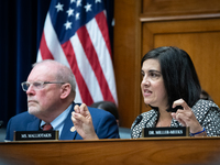 Rep. Nicole Malliotakis (R-NY) questions Dr. Anthony Fauci, former Director of the National Institute of Allergy and Infectious Diseases, du...