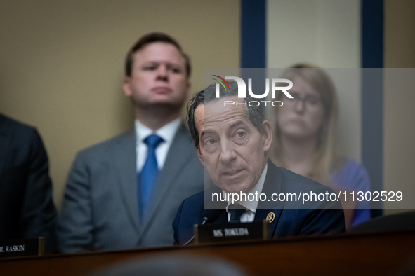 Rep. Jamie Raskin (D-MD) speaks at a hearing of the House Select Committee on the Coronavirus featuring testimony from Dr. Anthony Fauci, fo...