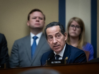 Rep. Jamie Raskin (D-MD) speaks at a hearing of the House Select Committee on the Coronavirus featuring testimony from Dr. Anthony Fauci, fo...