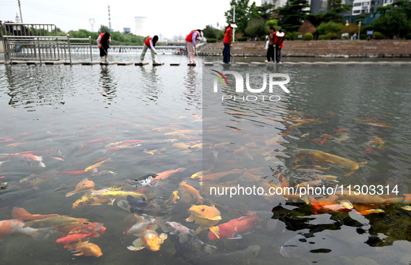 Volunteers are picking up debris at the Black Dragon Cave Scenic spot in Handan, China, on June 4, 2024. 