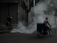 A municipal worker from the Department of Health Service is fumigating vapor to stem the spread of dengue while a cyclist is passing by in D...