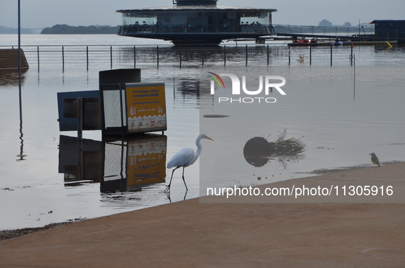 In Porto Alegre, Brazil, on April 6, 2024, the water levels are dropping, revealing the chaos that has taken place where the waters have tak...