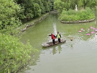 Volunteers are cleaning up floating objects on a river in Qingzhou, China, on June 5, 2024. (