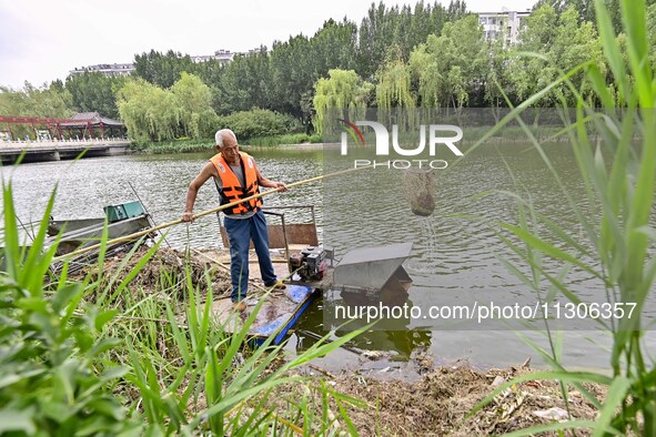 Volunteers are cleaning up floating objects on a river in Qingzhou, China, on June 5, 2024. 