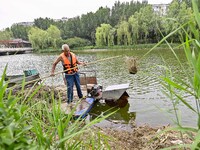 Volunteers are cleaning up floating objects on a river in Qingzhou, China, on June 5, 2024. (