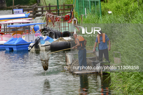 Volunteers are cleaning up floating objects on a river in Qingzhou, China, on June 5, 2024. 