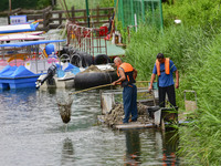 Volunteers are cleaning up floating objects on a river in Qingzhou, China, on June 5, 2024. (