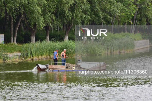 Volunteers are cleaning up floating objects on a river in Qingzhou, China, on June 5, 2024. 