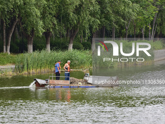 Volunteers are cleaning up floating objects on a river in Qingzhou, China, on June 5, 2024. (