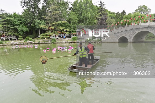 Volunteers are cleaning up floating objects on a river in Qingzhou, China, on June 5, 2024. 