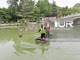 Volunteers are cleaning up floating objects on a river in Qingzhou, China, on June 5, 2024. (