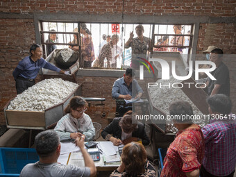 Silkworm farmers are selling silkworm cocoons at a silkworm cocoon buying point in Hai'an, China, on June 4, 2024. (