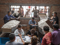 Silkworm farmers are selling silkworm cocoons at a silkworm cocoon buying point in Hai'an, China, on June 4, 2024. (