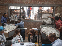 Silkworm farmers are selling silkworm cocoons at a silkworm cocoon buying point in Hai'an, China, on June 4, 2024. (