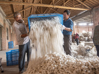 Workers are sorting and stacking silkworm cocoons at a silkworm cocoon buying point in Haian, China, on June 4, 2024. (