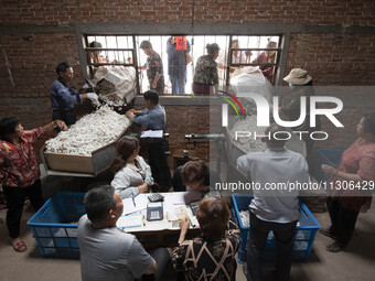 Silkworm farmers are selling silkworm cocoons at a silkworm cocoon buying point in Hai'an, China, on June 4, 2024. (