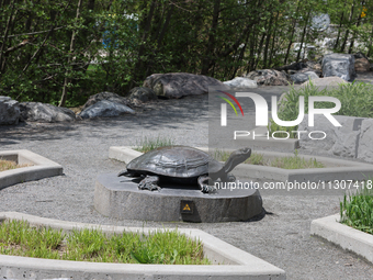 A turtle sculpture is standing at a park by Lake Wilcox in Richmond Hill, Ontario, Canada, on May 12, 2024. (