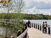 A boardwalk is stretching by Lake Wilcox in Richmond Hill, Ontario, Canada, on May 12, 2024. (