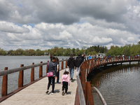 A boardwalk is stretching by Lake Wilcox in Richmond Hill, Ontario, Canada, on May 12, 2024. (