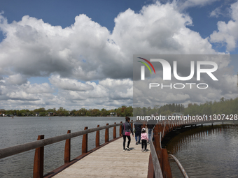 A boardwalk is stretching by Lake Wilcox in Richmond Hill, Ontario, Canada, on May 12, 2024. (