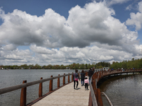 A boardwalk is stretching by Lake Wilcox in Richmond Hill, Ontario, Canada, on May 12, 2024. (