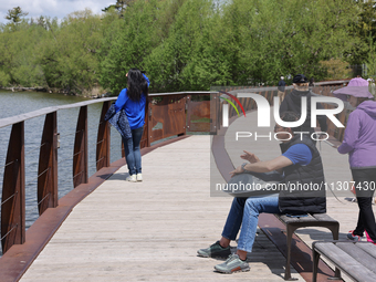 A man is playing a rhythmic tune on a musical instrument along a boardwalk by Lake Wilcox in Richmond Hill, Ontario, Canada, on May 12, 2024...