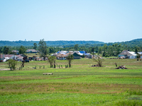 Tornado damage is being seen following the EF-3, EF-2, and EF-1 tornadoes that are impacting the city and local communities on Memorial Day...