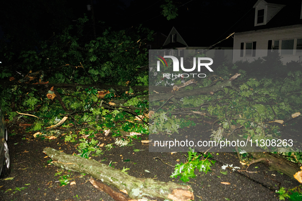 Fallen trees cover cars and homes in a Gaithersburg, Maryland neighborhood on June 5, 2024, after a tornado swept through the region. 