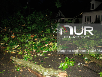 Fallen trees cover cars and homes in a Gaithersburg, Maryland neighborhood on June 5, 2024, after a tornado swept through the region. (