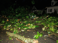 Fallen trees cover cars and homes in a Gaithersburg, Maryland neighborhood on June 5, 2024, after a tornado swept through the region. (