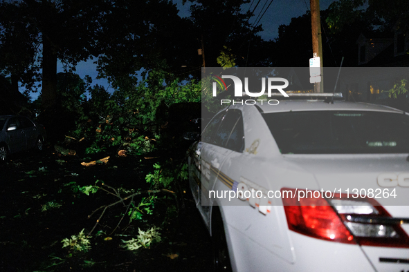 Fallen trees cover cars and homes in a Gaithersburg, Maryland neighborhood on June 5, 2024, after a tornado swept through the region. 