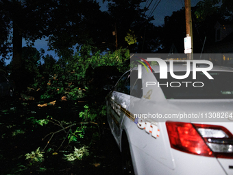 Fallen trees cover cars and homes in a Gaithersburg, Maryland neighborhood on June 5, 2024, after a tornado swept through the region. (