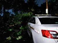 Fallen trees cover cars and homes in a Gaithersburg, Maryland neighborhood on June 5, 2024, after a tornado swept through the region. (