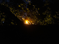 A utility repair vehicle's light is seen beyond a fallen tree in a Gaithersburg, Maryland neighborhood on June 5, 2024, after a tornado swep...