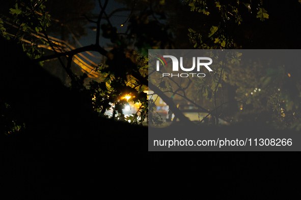 A utility repair vehicle's light is seen beyond a fallen tree in a Gaithersburg, Maryland neighborhood on June 5, 2024, after a tornado swep...