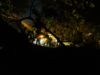 A utility repair vehicle's light is seen beyond a fallen tree in a Gaithersburg, Maryland neighborhood on June 5, 2024, after a tornado swep...