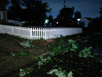 Fallen branches cover the roadway in a Gaithersburg, Maryland neighborhood on June 5, 2024, after a tornado swept through the region. (