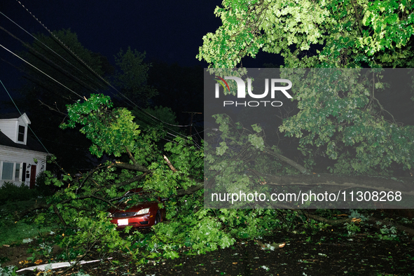 Fallen trees cover cars and homes in a Gaithersburg, Maryland neighborhood on June 5, 2024, after a tornado swept through the region. 