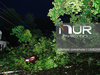 Fallen trees cover cars and homes in a Gaithersburg, Maryland neighborhood on June 5, 2024, after a tornado swept through the region. (